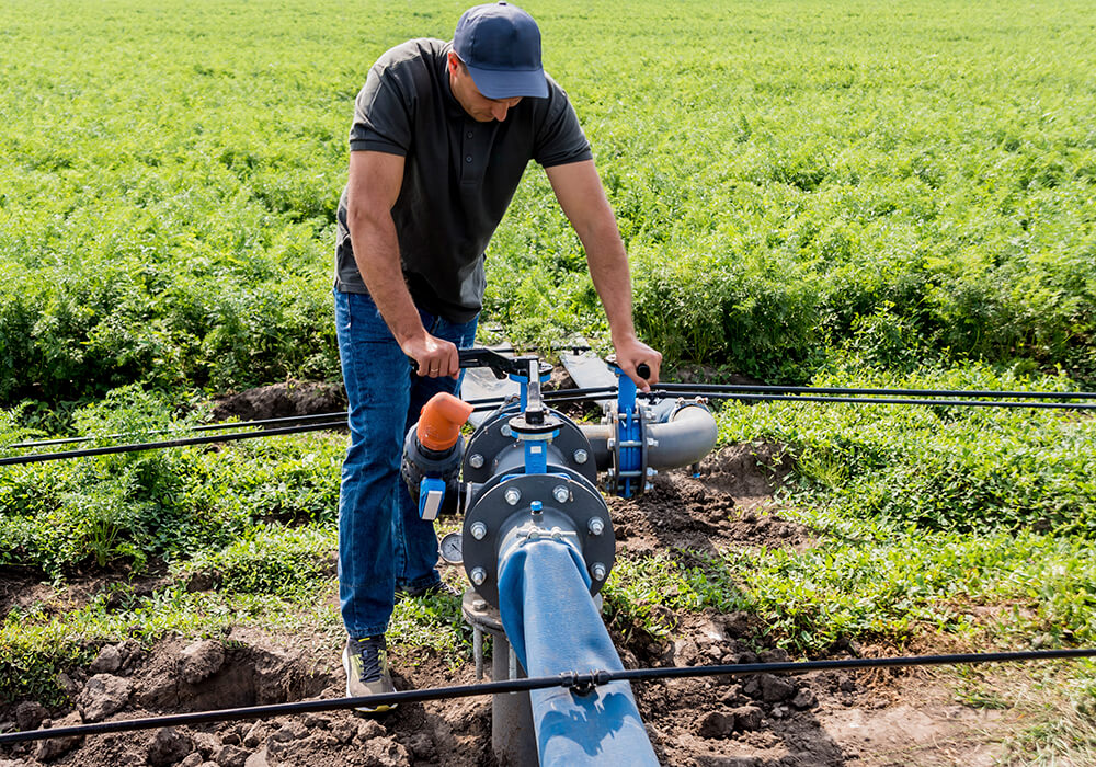 irrigation